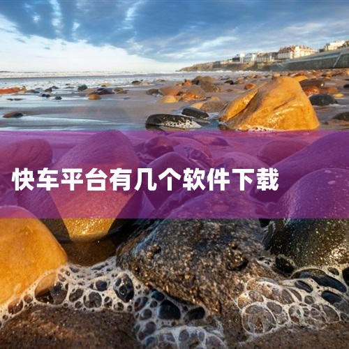 打滴滴需下载官方唯一指定的「滴滴出行」App，该应用是滴滴出行全场景服务的核心入口，涵盖网约车、出租车、顺风车等多元化出行需求。一、核心下载信息1. 官方应用名称：滴滴出行（无其他官方指定打车软件），,P站专业版