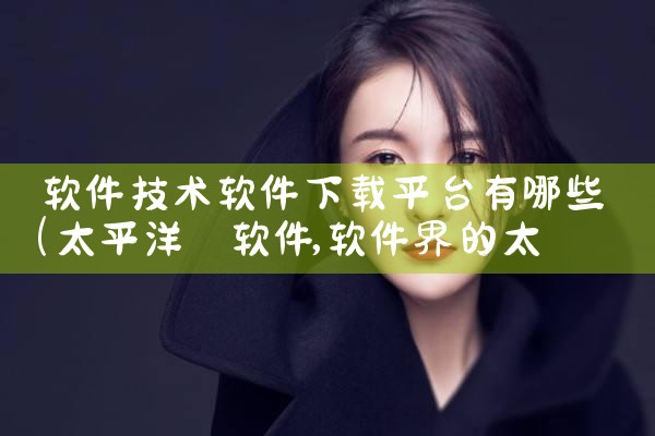 软件技术软件下载平台有哪些|P站专业版