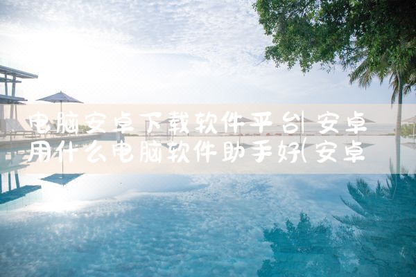 电脑安卓下载软件平台|P站专业版