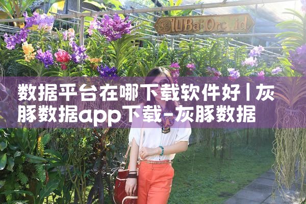 数据平台在哪下载软件好|P站专业版