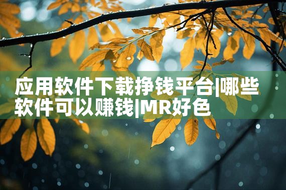应用软件下载挣钱平台|MR好色