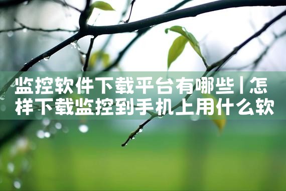监控软件下载平台有哪些|P站专业版