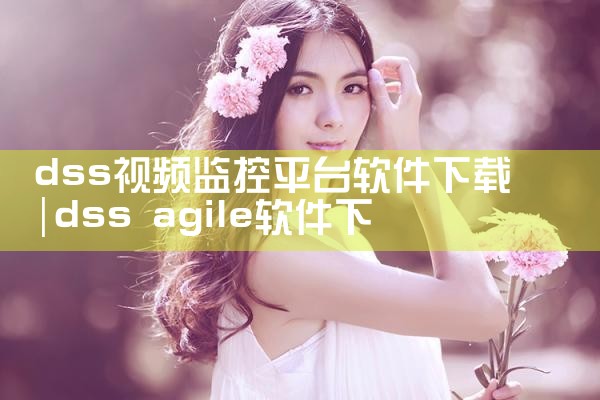 dss视频监控平台软件下载|糖心Vlog