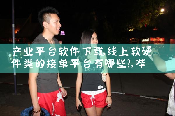 产业平台软件下载|哔咔漫画