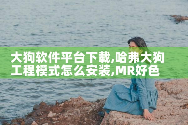 大狗软件平台下载|MR好色