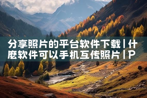 分享照片的平台软件下载|P站专业版