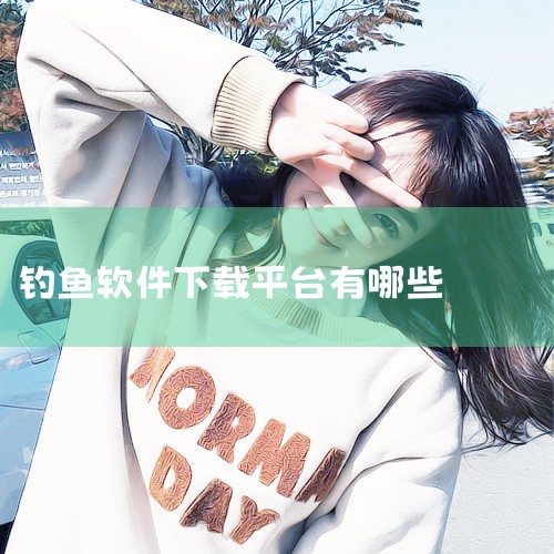 钓鱼人必备软件|钓鱼下载什么地图好|P站专业版