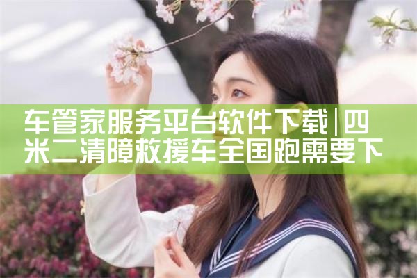 车管家服务平台软件下载|MR好色