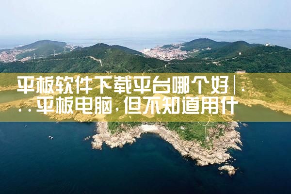 平板软件下载平台哪个好|P站专业版