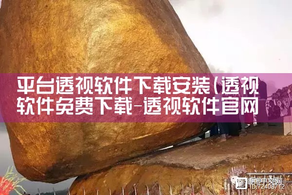 平台透视软件下载安装|MR好色