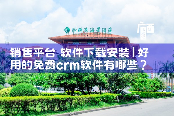 销售平台 软件下载安装|P站专业版