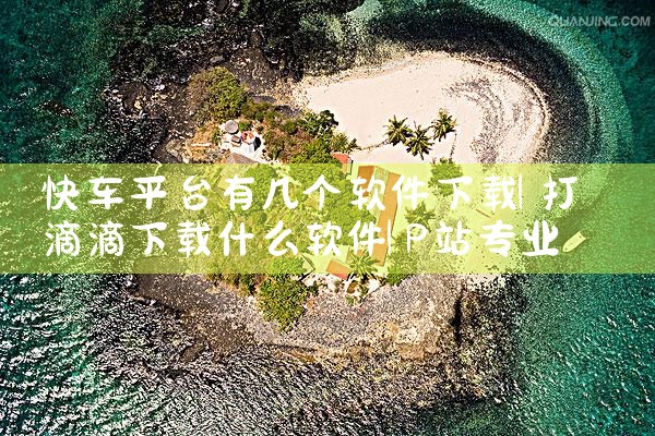 快车平台有几个软件下载|P站专业版