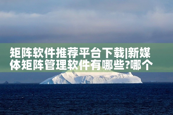 矩阵软件推荐平台下载|MR好色