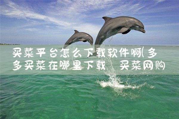 买菜平台怎么下载软件啊|哔咔漫画
