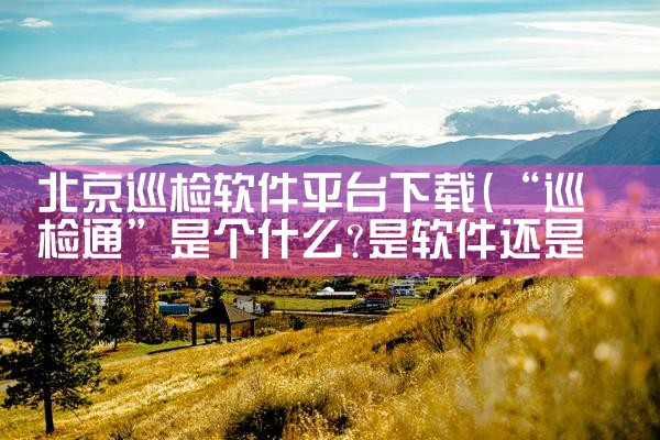 北京巡检软件平台下载|MR好色