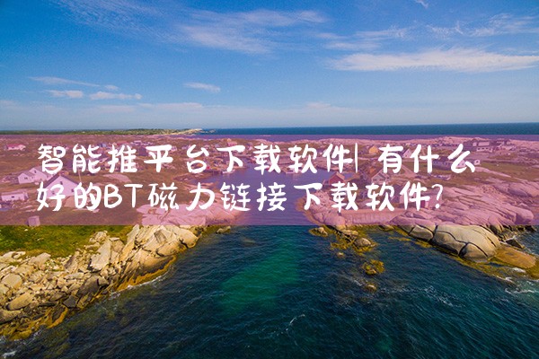 智能推平台下载软件|P站专业版