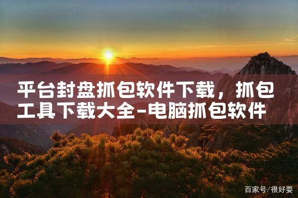 平台封盘抓包软件下载|哔咔漫画
