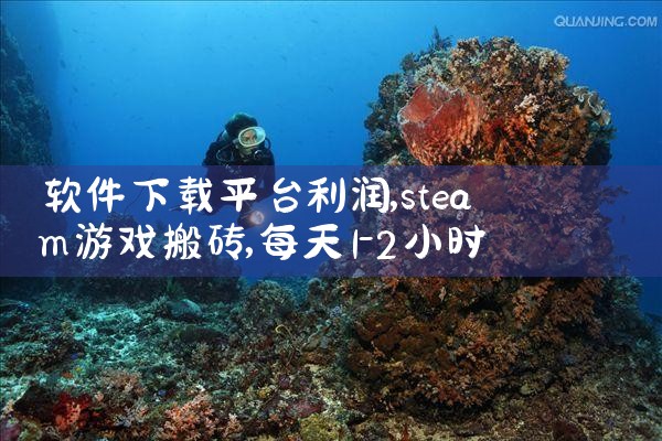 软件下载平台利润|小蓝视频